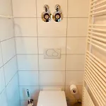 Mimosa 3* Руст