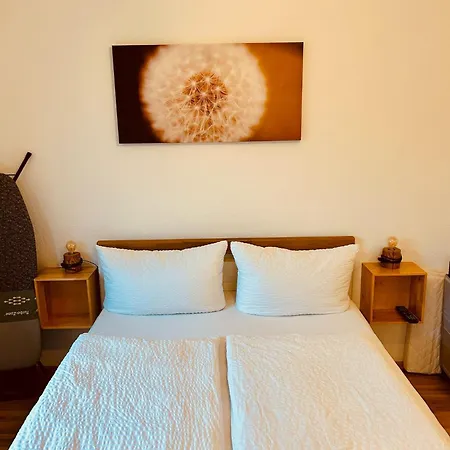 Mimosa 3*