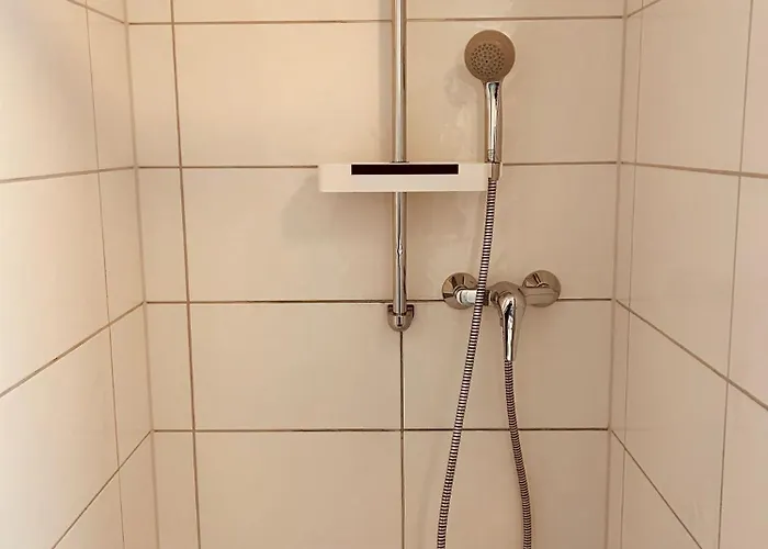 Guest house Mimosa 3*