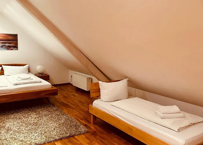 Mimosa Guest house 3*