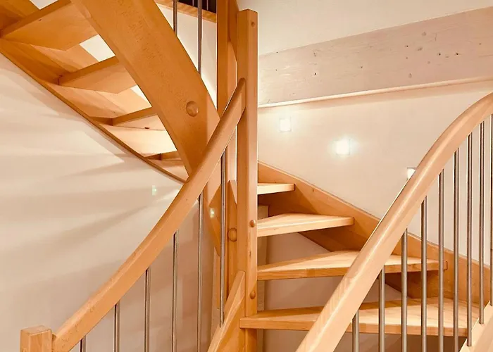 Guest house Mimosa 3*