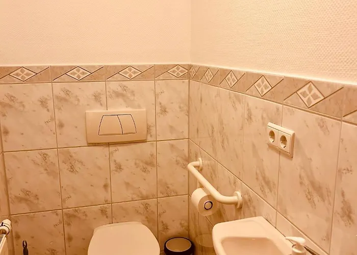 Guest house Mimosa 3*